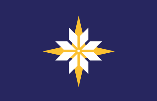 Proposed flag design for MN
